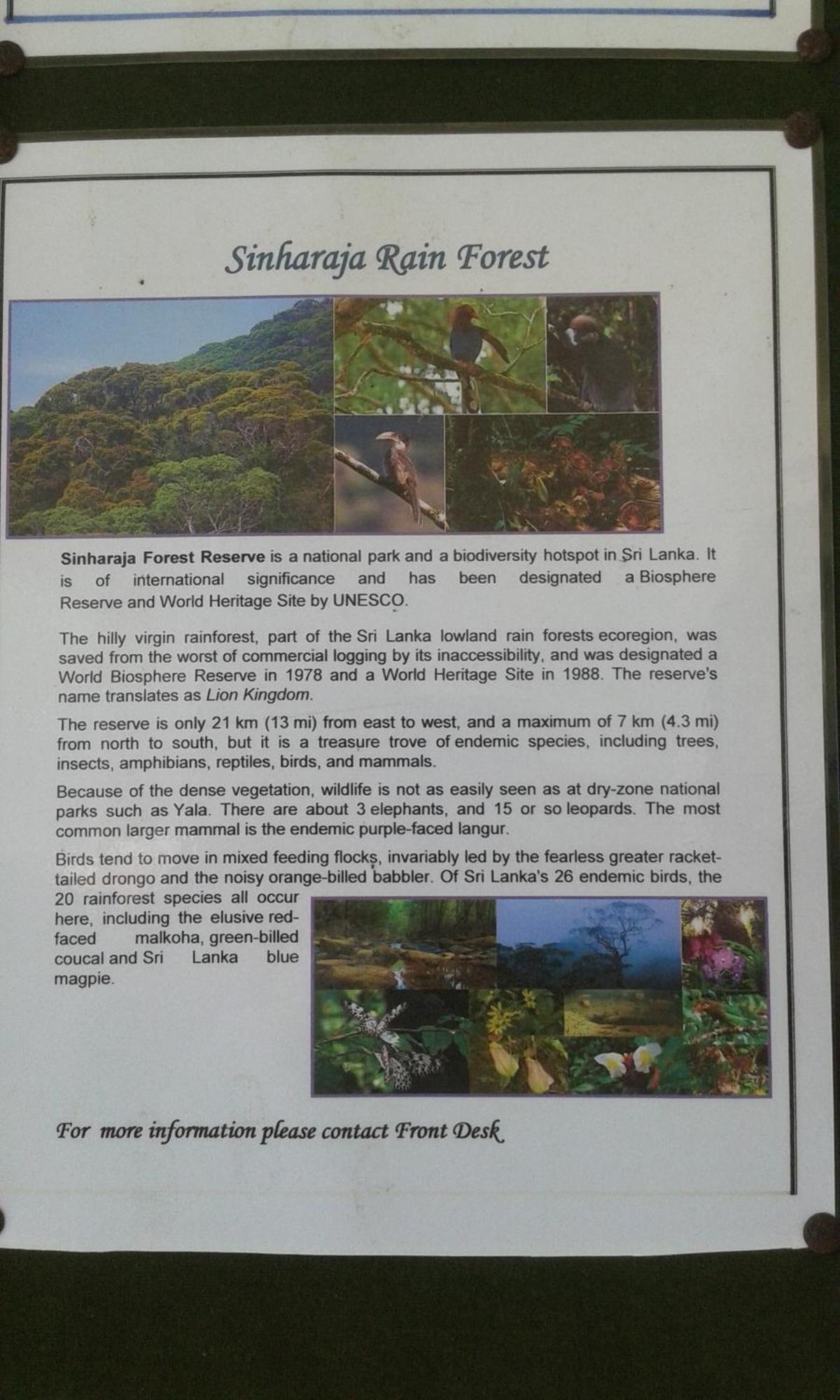 Kaween Homestay Weligama Dış mekan fotoğraf