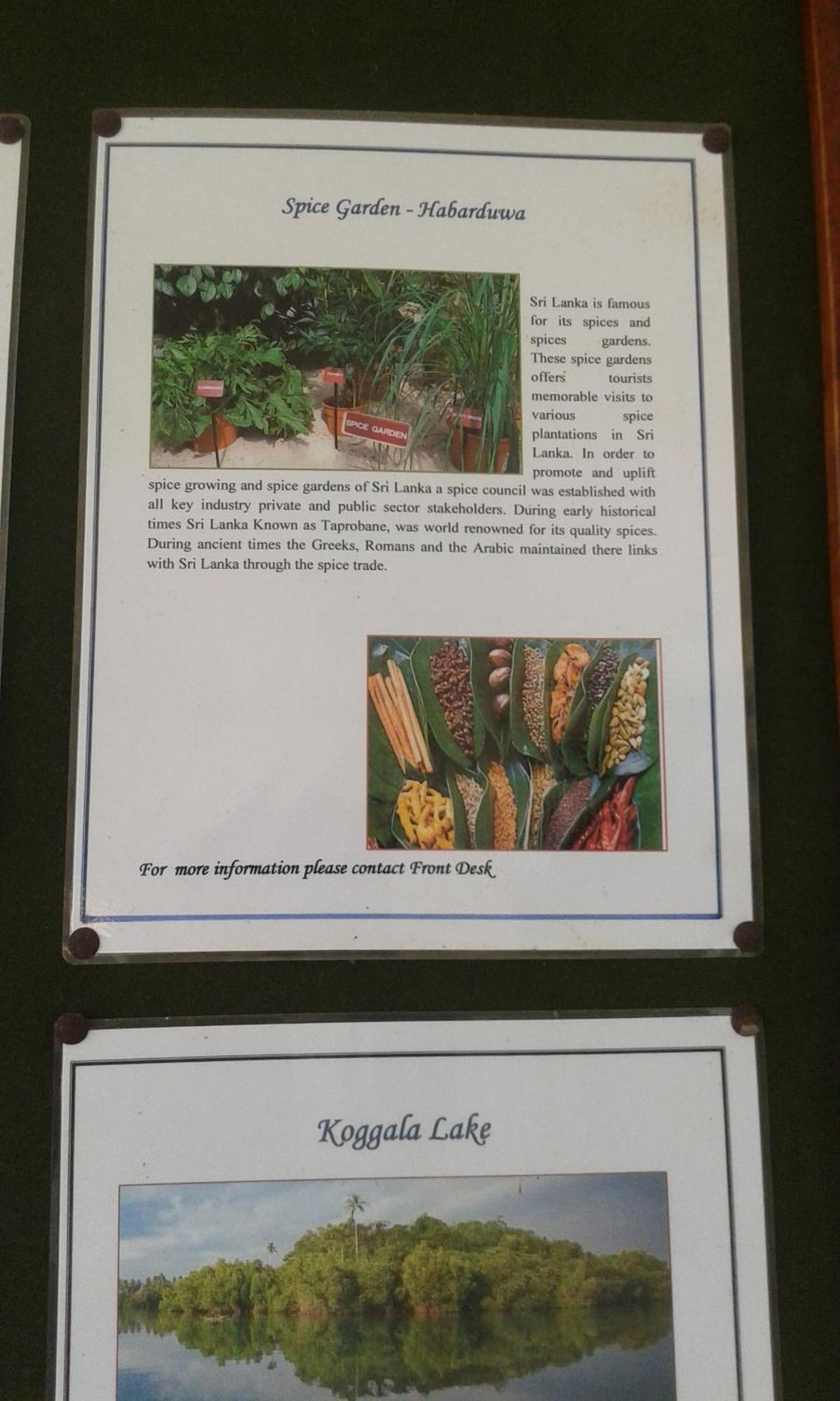 Kaween Homestay Weligama Dış mekan fotoğraf