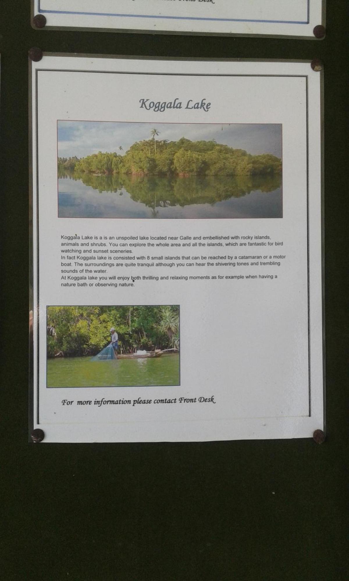 Kaween Homestay Weligama Dış mekan fotoğraf